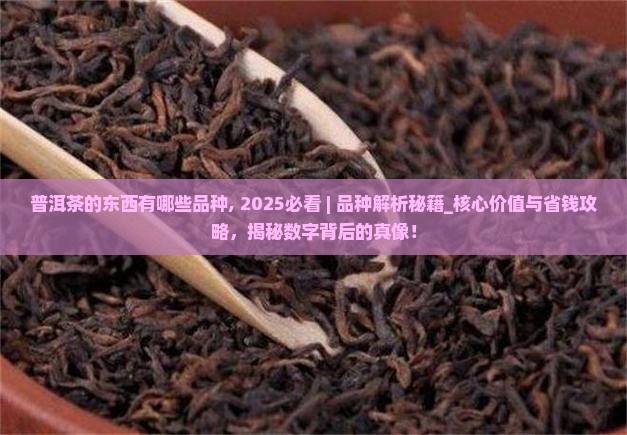 普洱茶的东西有哪些品种