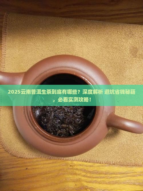云南普洱茶的生茶有哪些