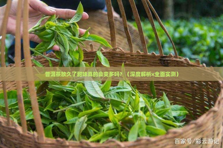 普洱茶放久了甜味会增加吗