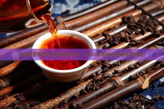 老海塘普洱茶是云南那的茶