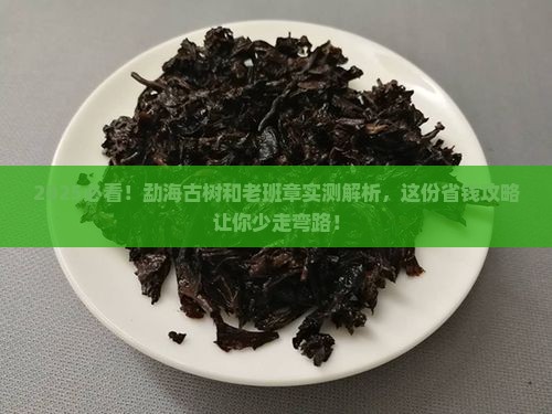 勐海古树和老班章