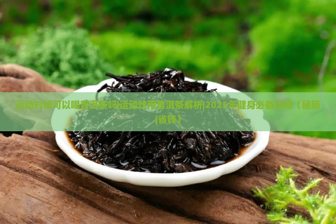 运动时候可以喝普洱茶吗