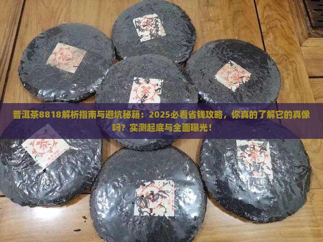 普洱茶8818