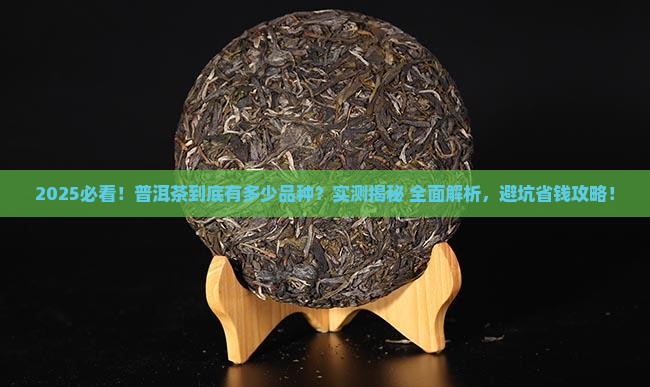 普洱茶有什么样的品种