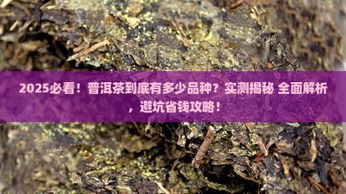 普洱茶有什么样的品种