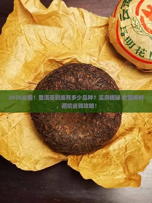 普洱茶有什么样的品种