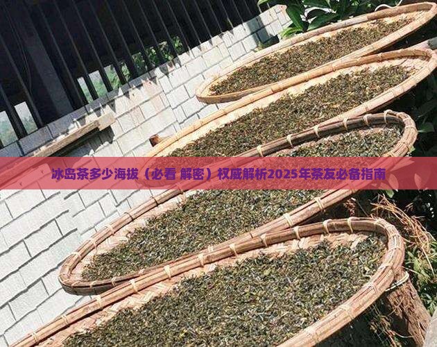 冰岛茶多少海拔