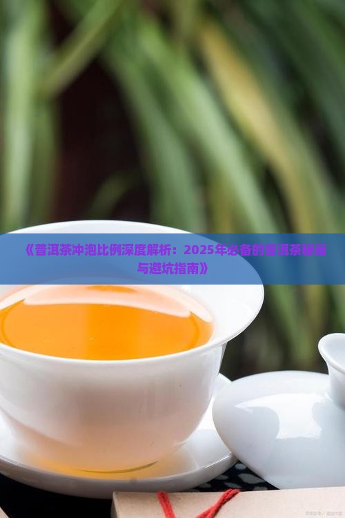 泡普洱茶配比是多少克的