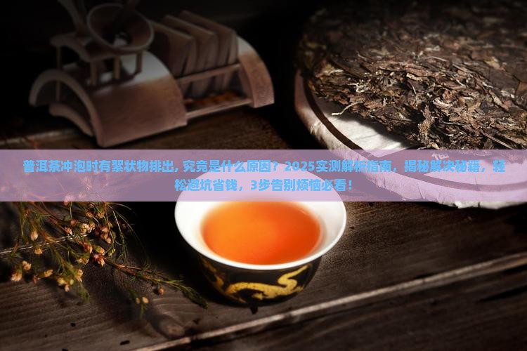 普洱茶冲泡时有絮状物排出