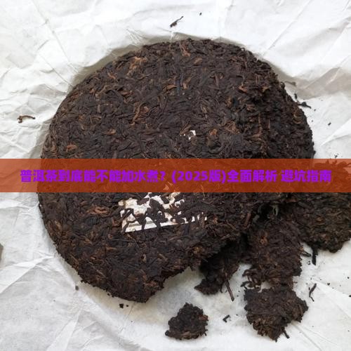 普洱茶要不要加水煮