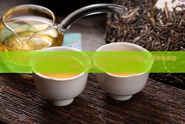 普知味是大益的什么茶