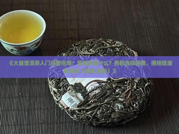 普知味是大益的什么茶