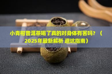 小青柑普洱茶真的对人不好吗