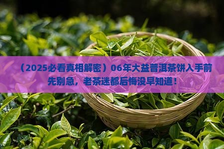 06年的大益普洱茶饼