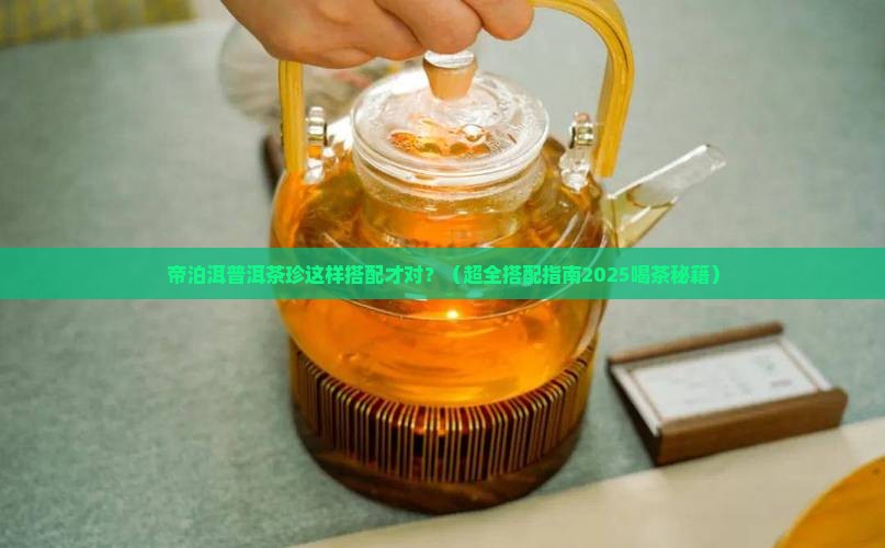 帝泊洱普洱茶珍搭配