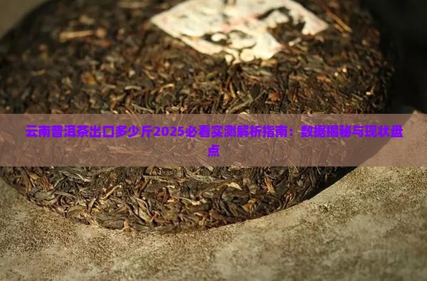 云南普洱茶出口多少斤