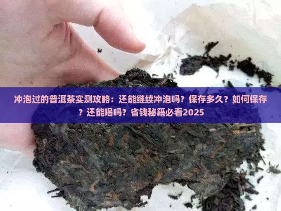 冲泡过的普洱茶