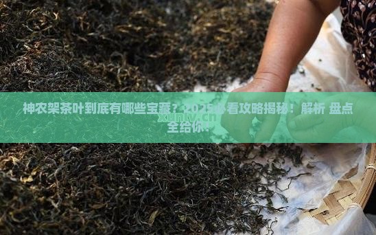 神农架产什么茶叶