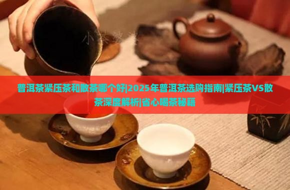 普洱茶紧压茶和散茶哪个好