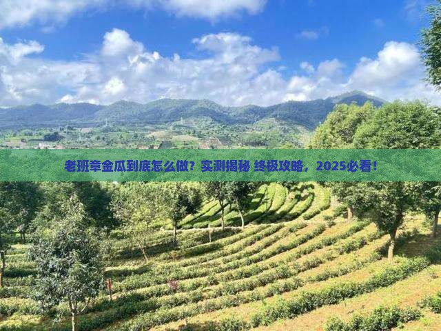 老班章金瓜怎么做