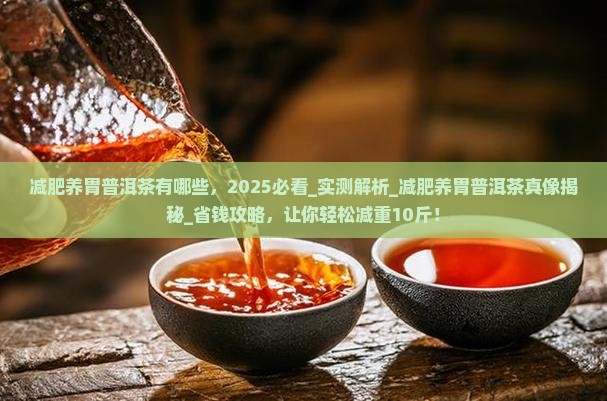 减肥养胃普洱茶有哪些
