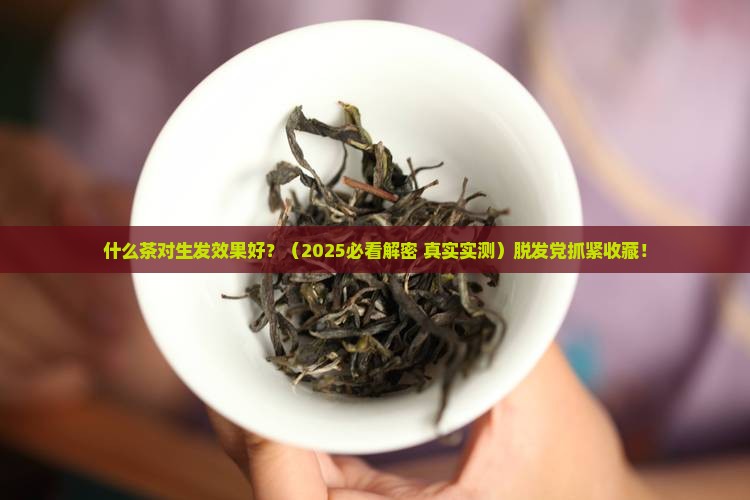 什么茶对生发效果好