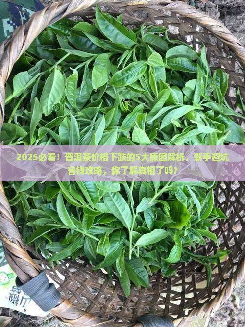 普洱茶价格下跌的原因