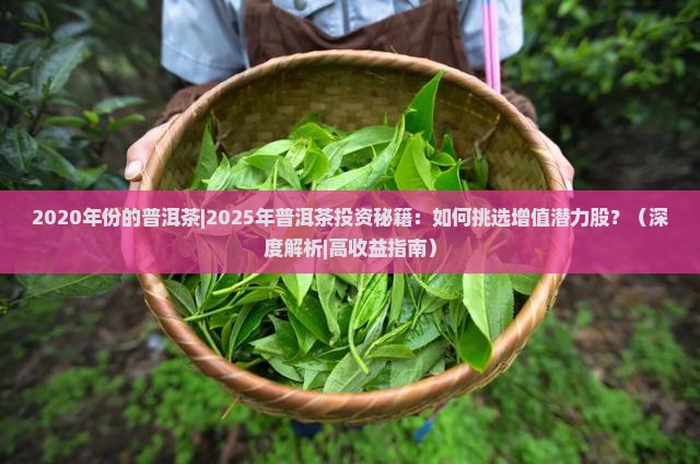 2020年份的普洱茶