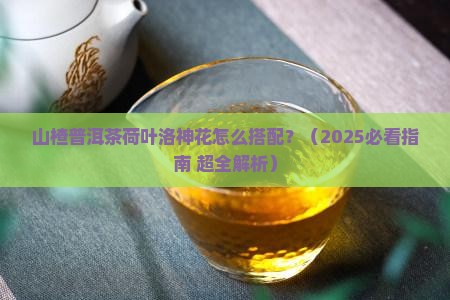 山楂普洱茶荷叶洛神花