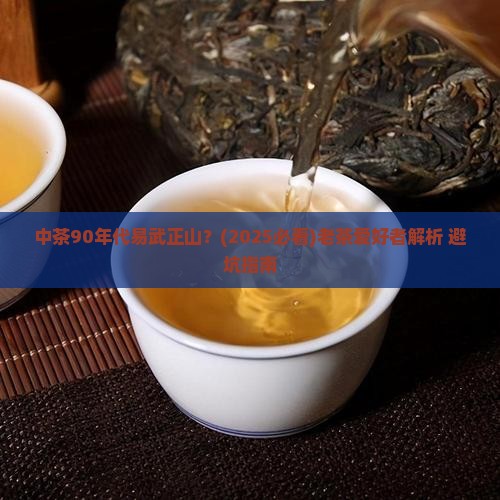 中茶90年代易武正山