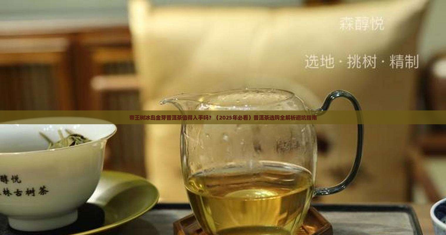 帝王树冰岛金芽普洱茶