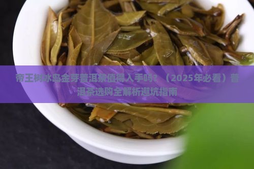 帝王树冰岛金芽普洱茶