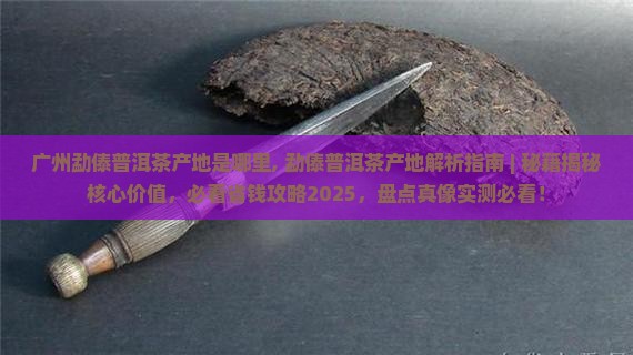 广州勐傣普洱茶产地是哪里