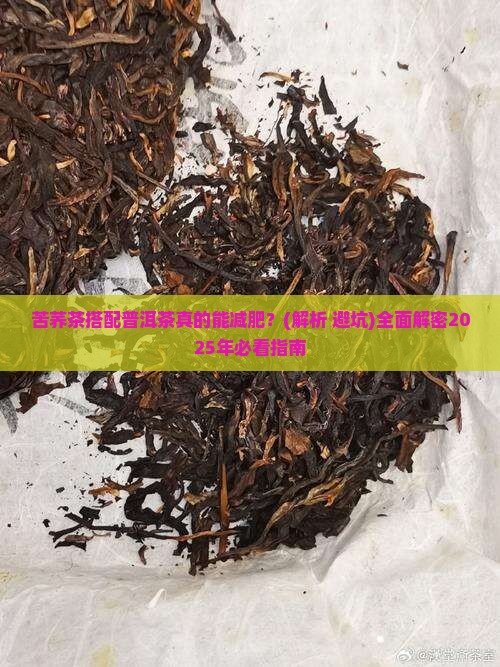 苦荞茶配普洱茶