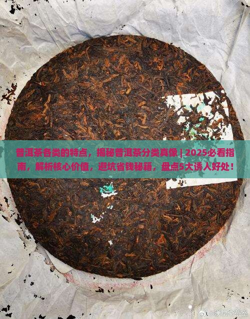 普洱茶各类的特点