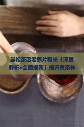 曼松茶区老照片