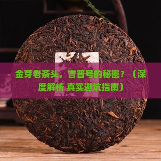 金芽老茶头吉普号