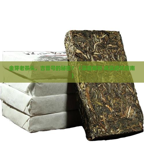 金芽老茶头吉普号