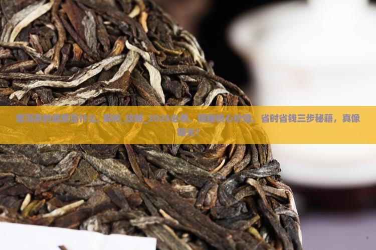 普洱茶的最爱是什么