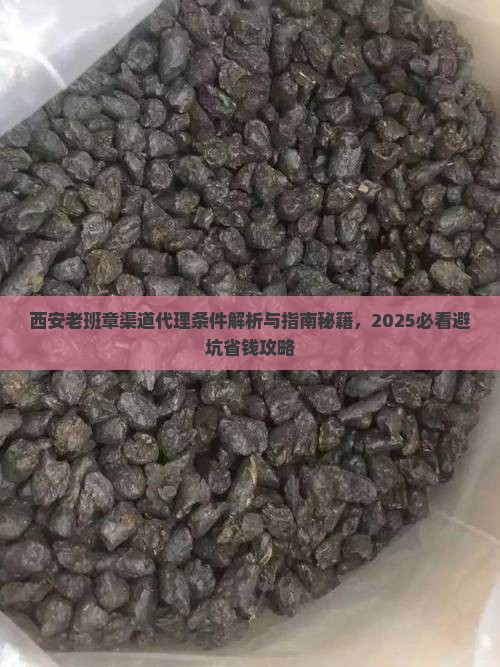 西安老班章渠道代理条件