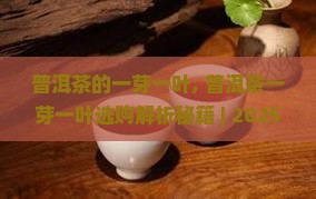 普洱茶的一芽一叶