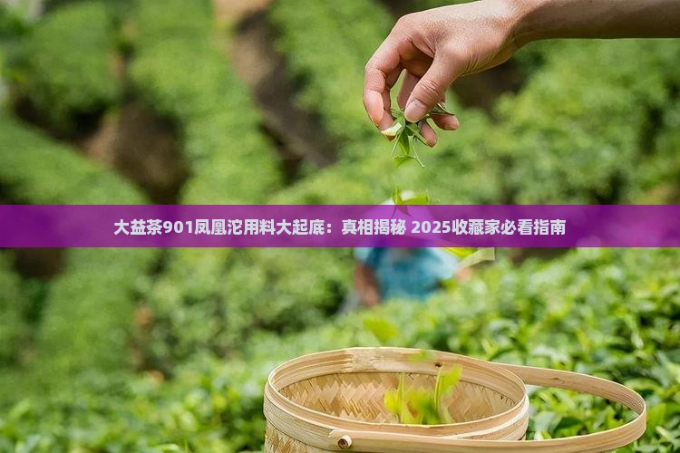大益茶901凤凰沱用料