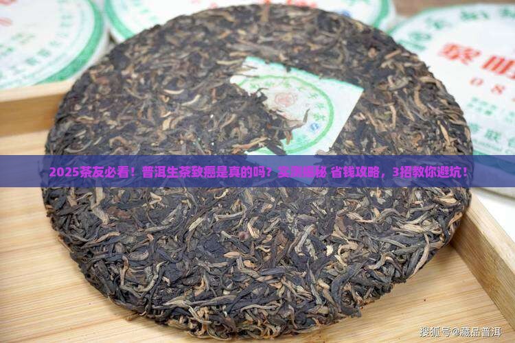 普洱生茶真的致癌吗