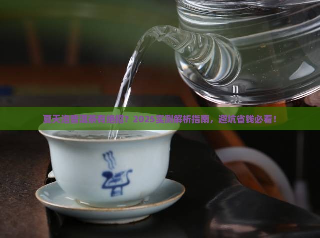 夏天怎么泡普洱茶比较好