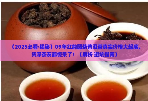 09年红韵圆茶普洱茶价格