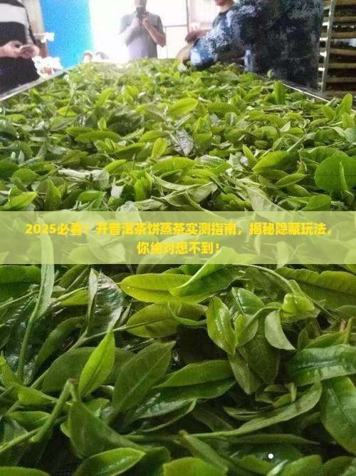 开普洱茶饼蒸茶