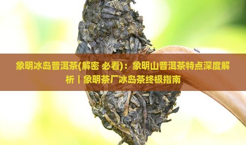 象明冰岛普洱茶
