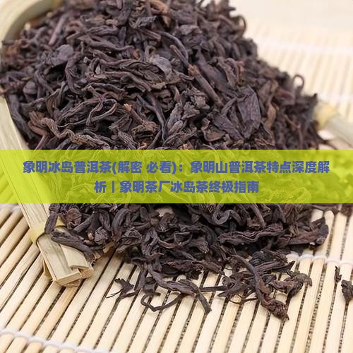 象明冰岛普洱茶