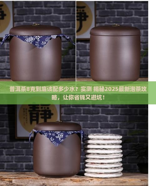 普洱茶8克放多少水泡