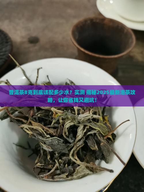 普洱茶8克放多少水泡